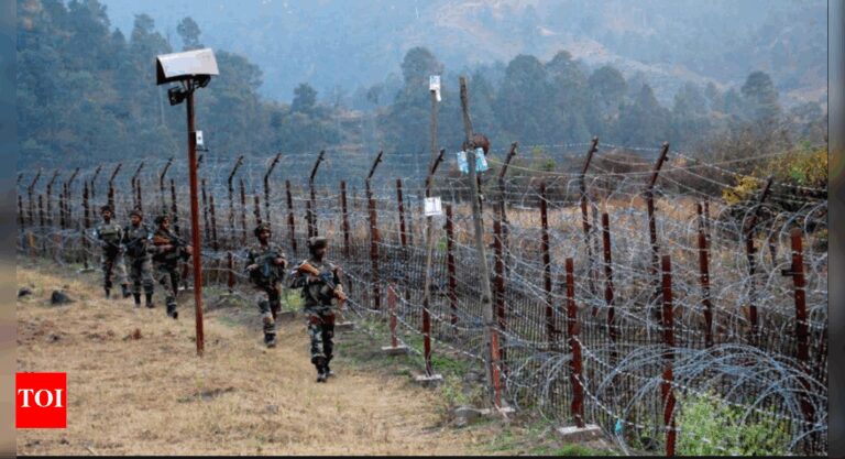 Nagpur Woman's Bizarre Border Crossover: Try to Meet Online Pastor Raises Alarms on Security