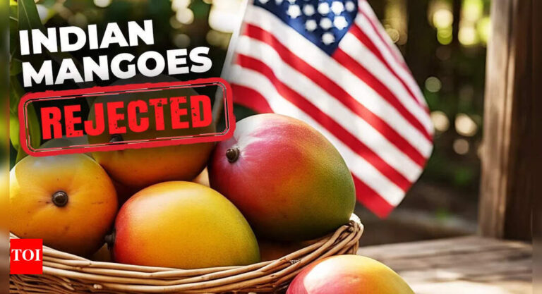 Massive Mango Export Dispute: India Accuses US of Protocol Violations After 15 Shipments Rejected!