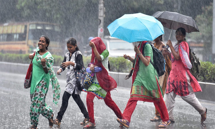 Heavy Rain and Thunderstorms Expected in Tamil Nadu: Chennai Sees Significant Downpours This Week!