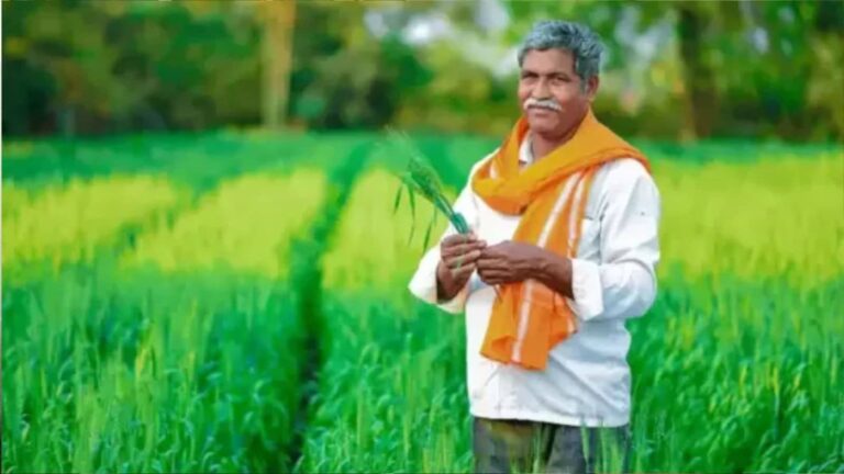 Don't Miss Out: Essential Steps to Secure Your PM Kisan 20th Installment in 2025!