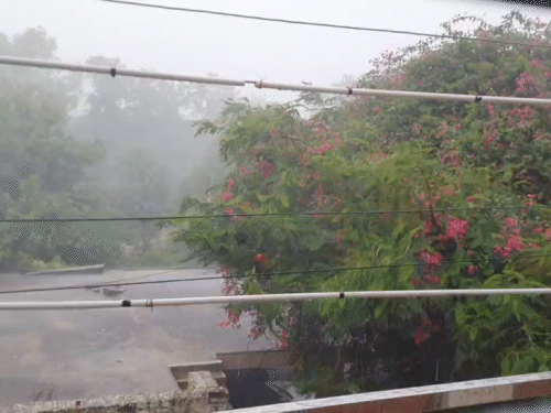 Severe Weather Alert: Rain and Thunderstorms Claim Lives in Jharkhand as Heat Lingers in Palamu