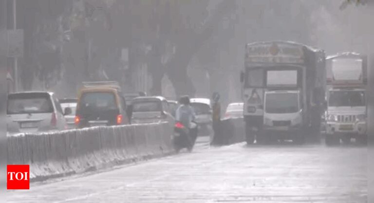 Unprecedented Early Monsoon Hits Mumbai: What the IMD's Rainfall Predictions Mean for 2025