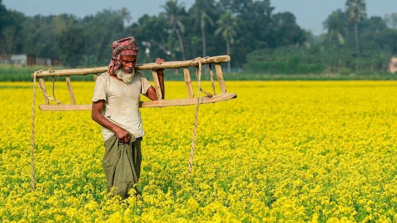 Exciting News for PM Kisan Scheme Beneficiaries: 20th Installment Expected This June!