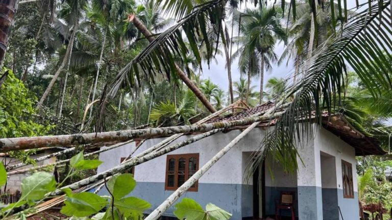 Severe Rain and Winds Batter Kerala: Tens of Houses Damaged and Red Alert Issued for Multiple Districts